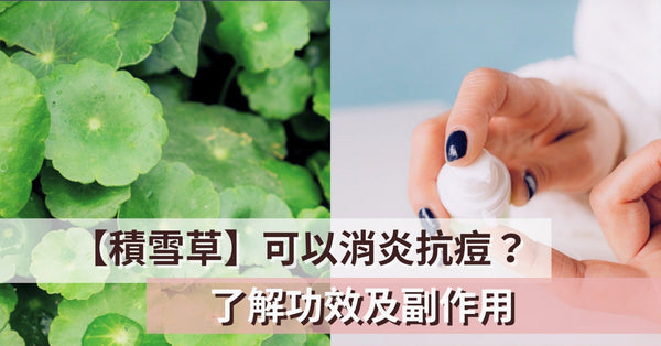 【積雪草】可以消炎抗痘？了解功效及副作用 - Pretti5 - HK