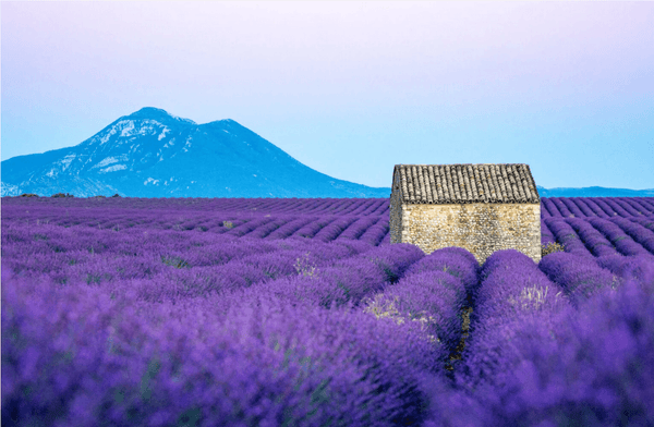 The Pretti5 Travel Guide to Provence - Pretti5 - HK
