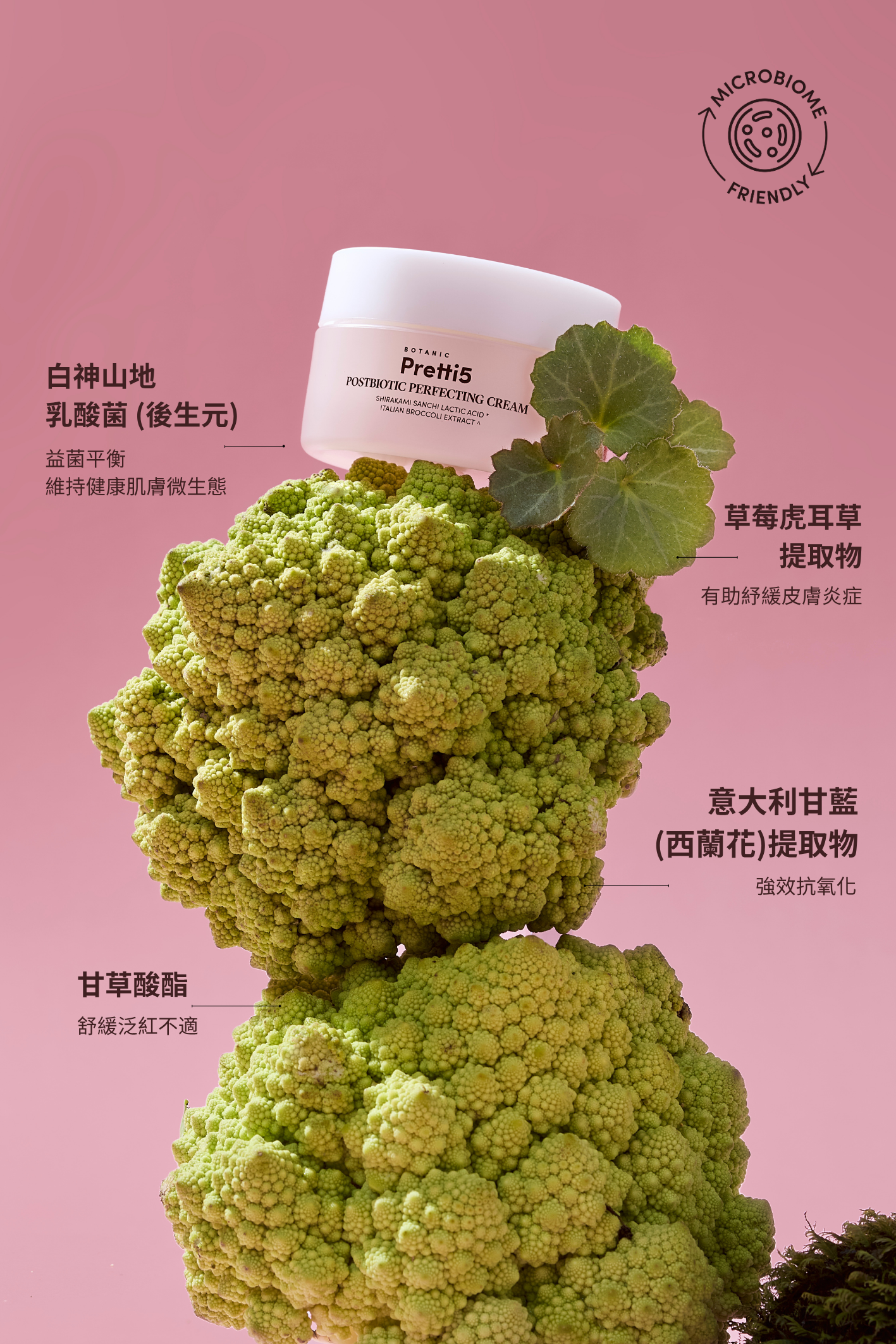 Postbiotic Perfecting Cream Ingredients - Pretti5 - TCM-Infused Clean Beauty For Natural Glow