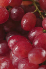 POSTBIOTIC TONING MIST